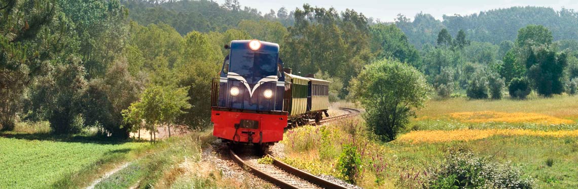 Vouga historical train